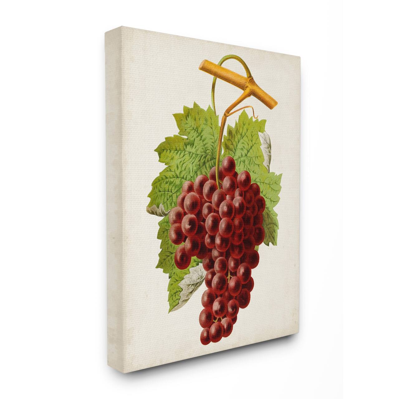 Stupell Industries Vintage Food Fruit Painting Canvas Wall Art